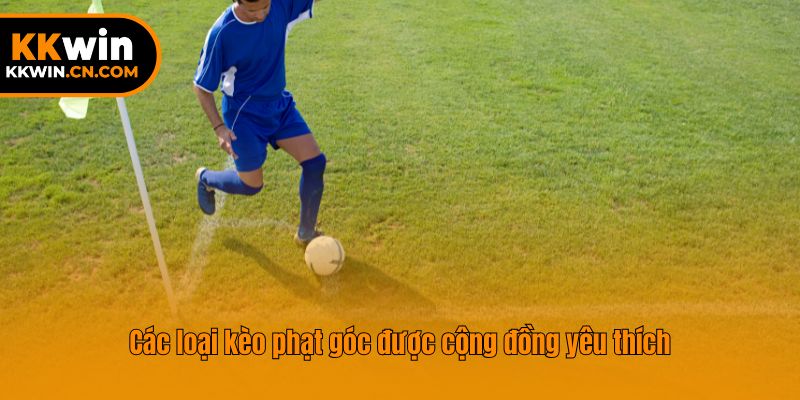 Các loại kèo phạt góc được cộng đồng yêu thích
