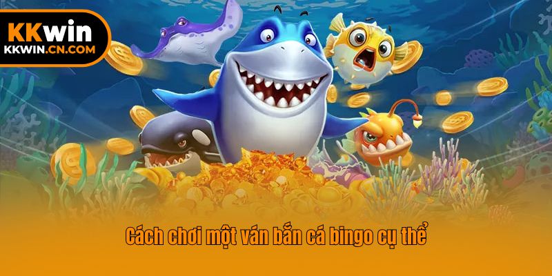 Cách chơi một ván bắn cá bingo cụ thể